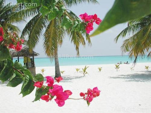 Kuredu Island Resort 16